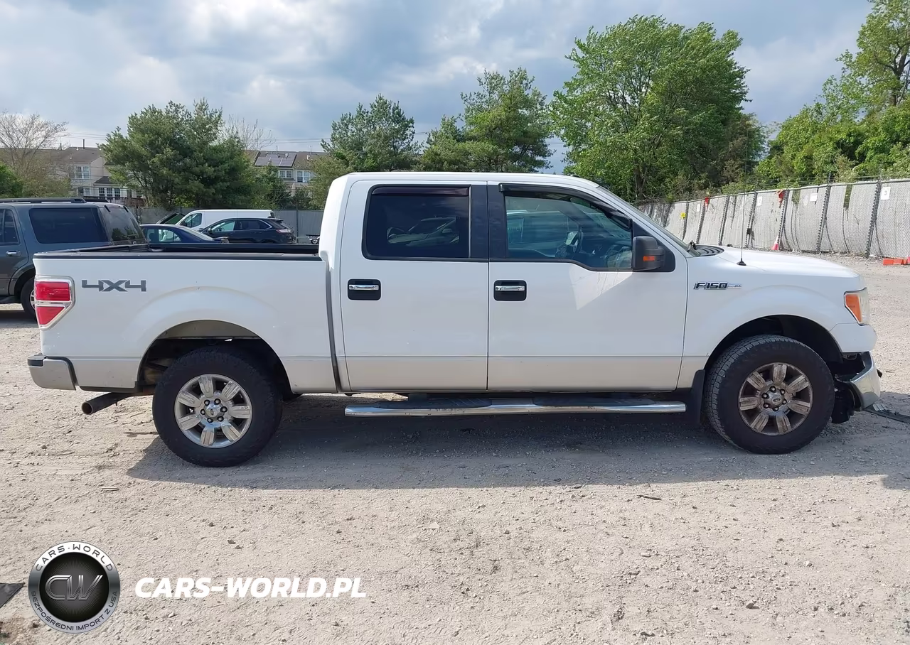 2012 Ford F-150 Xlt VIN:1FTFW1EF8CFB11554 - 13