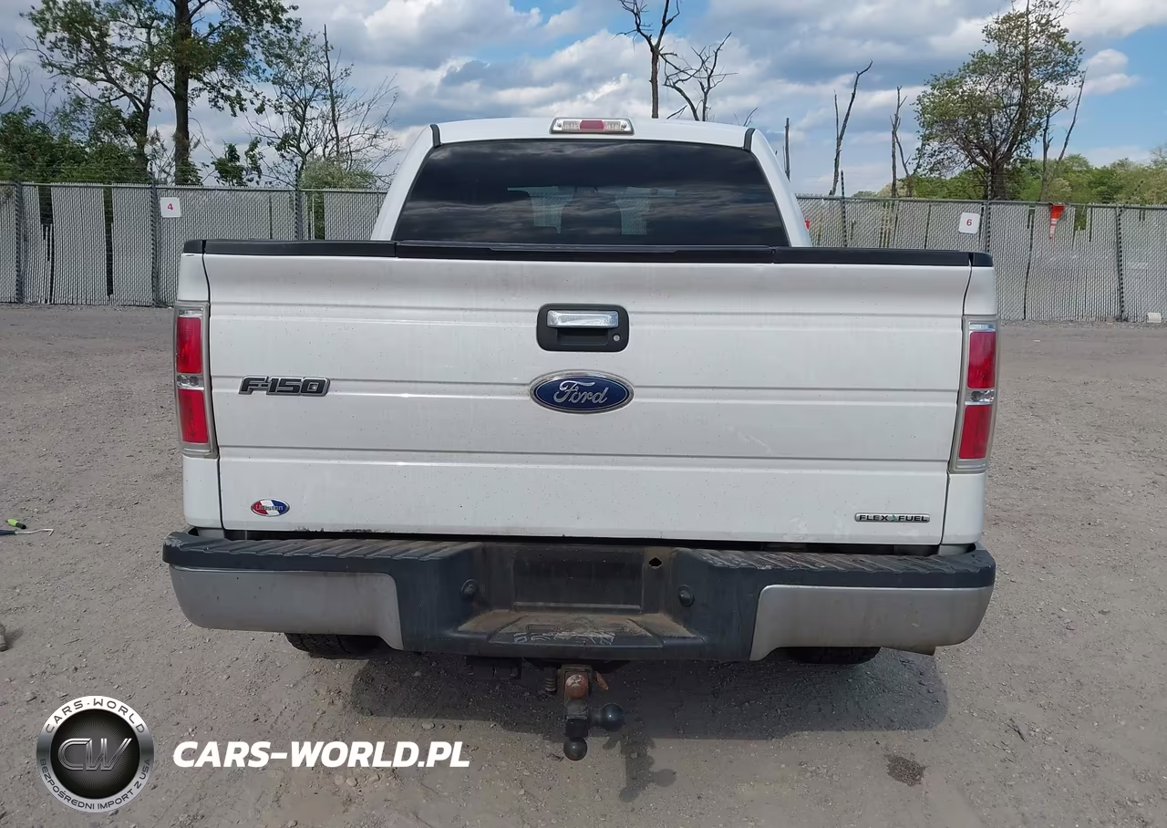 2012 Ford F-150 Xlt VIN:1FTFW1EF8CFB11554 - 16