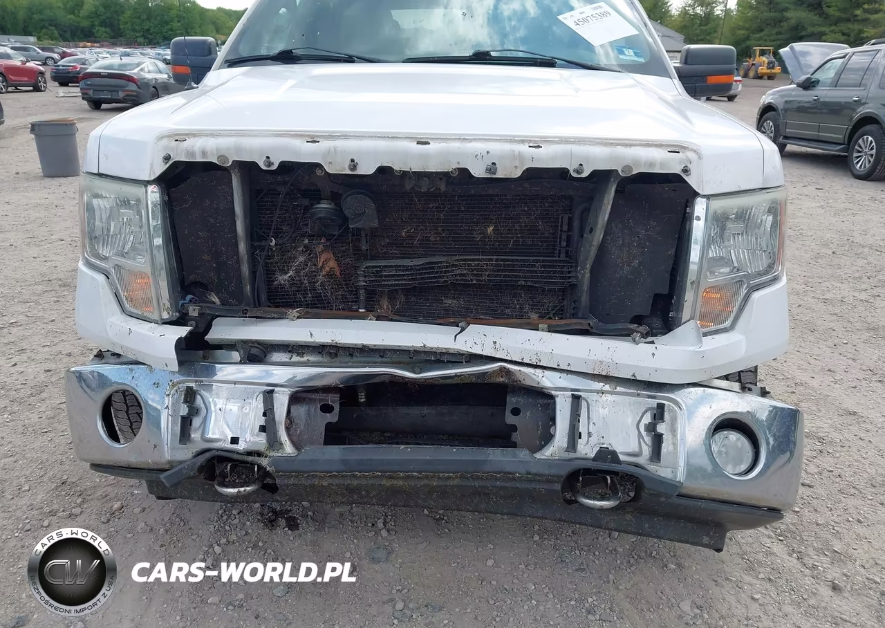 2012 Ford F-150 Xlt VIN:1FTFW1EF8CFB11554 - 6