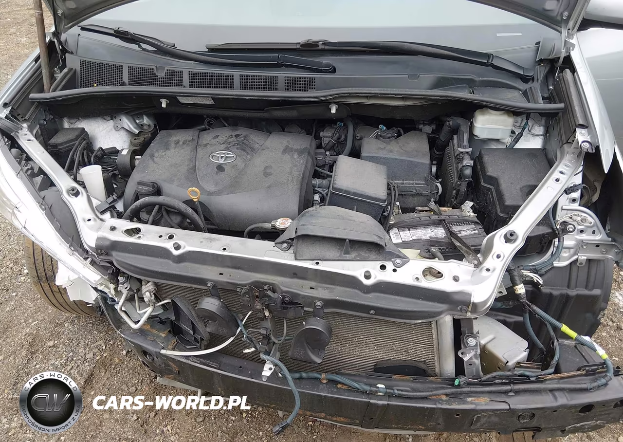 2020 Toyota Sienna Xle VIN:5TDYZ3DC0LS043432 - 10