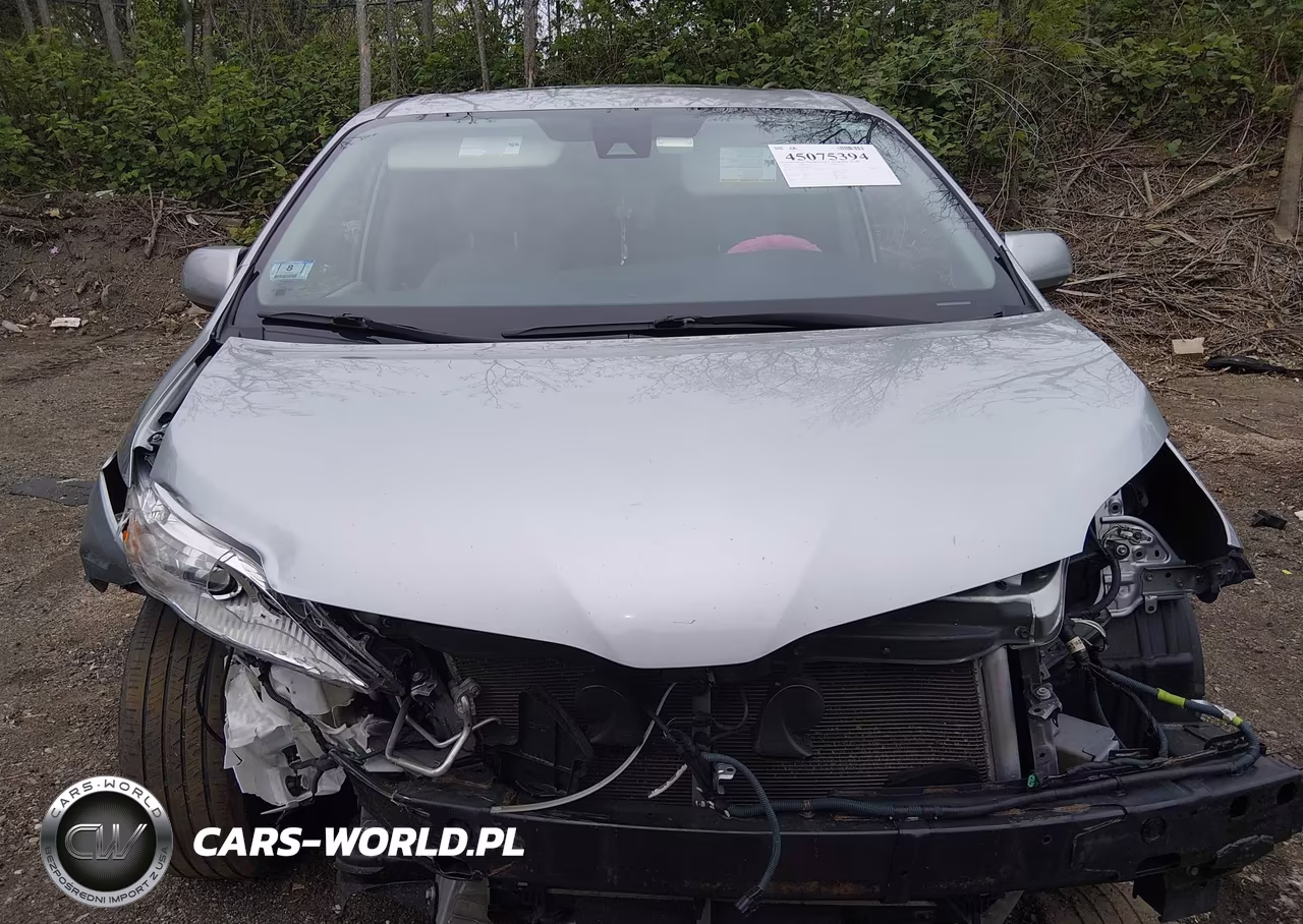 2020 Toyota Sienna Xle VIN:5TDYZ3DC0LS043432 - 13