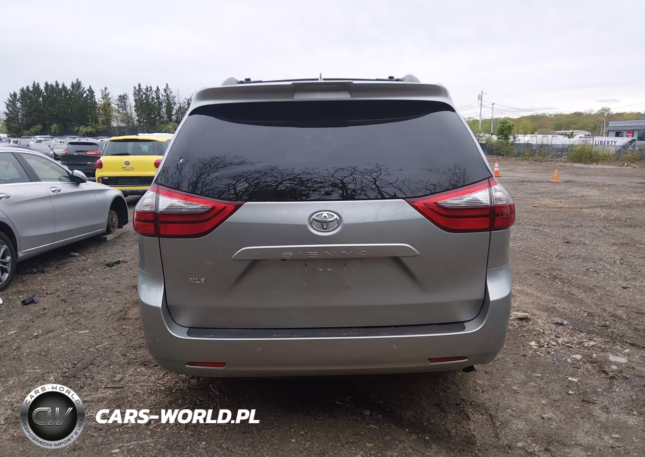 2020 Toyota Sienna Xle VIN:5TDYZ3DC0LS043432 - 17