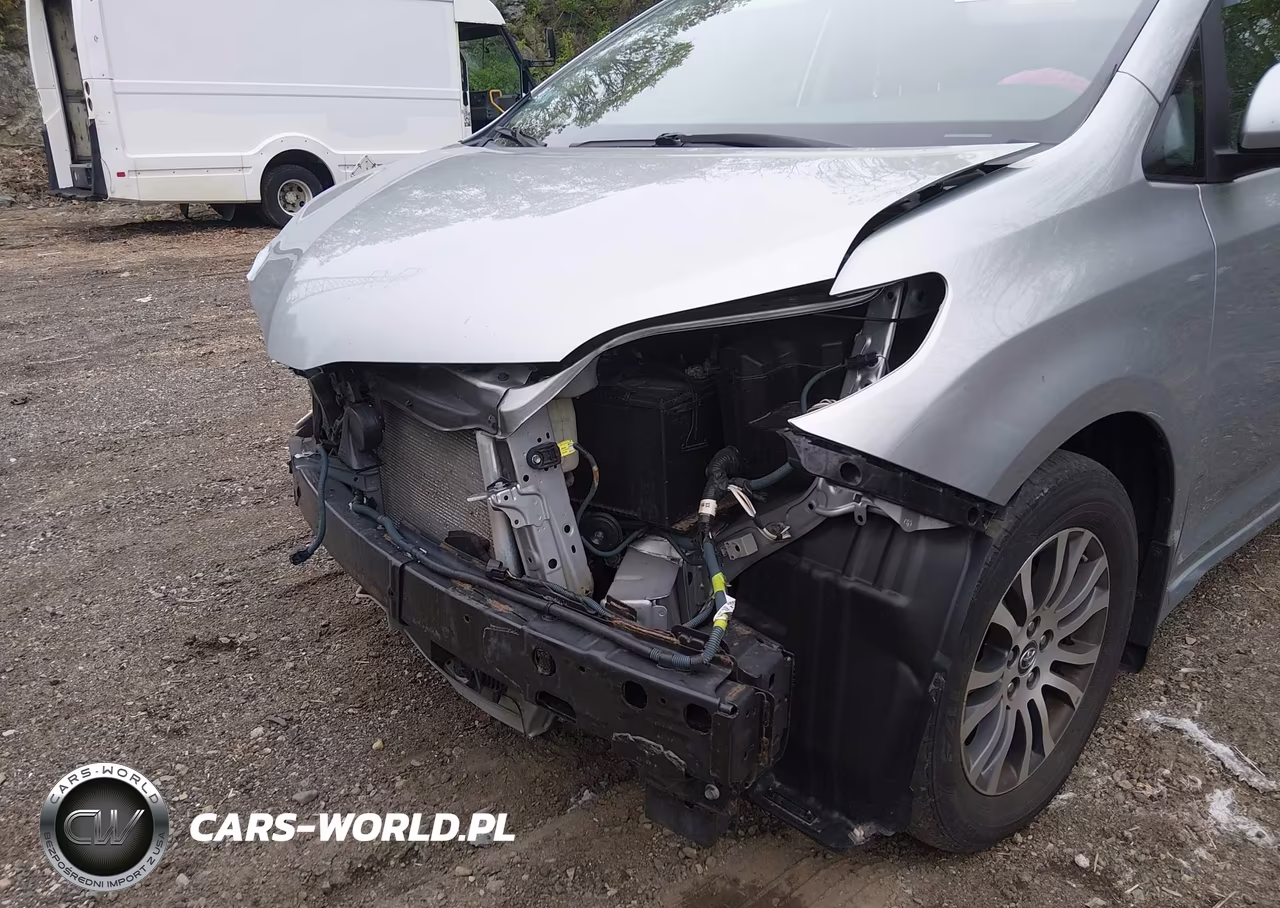 2020 Toyota Sienna Xle VIN:5TDYZ3DC0LS043432 - 18