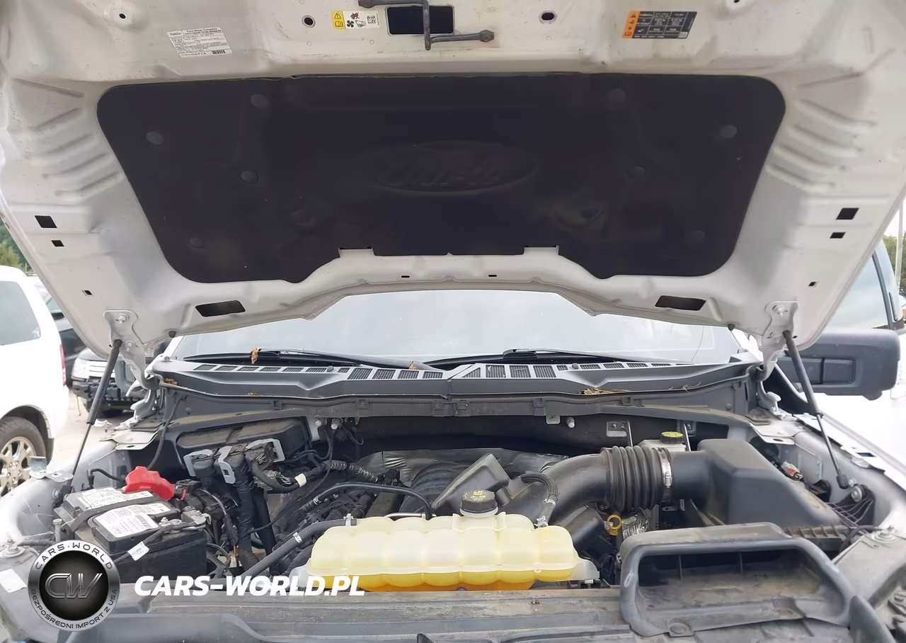 2021 Ford F-150 Xlt VIN:1FTFW1E52MFC82048 - 10