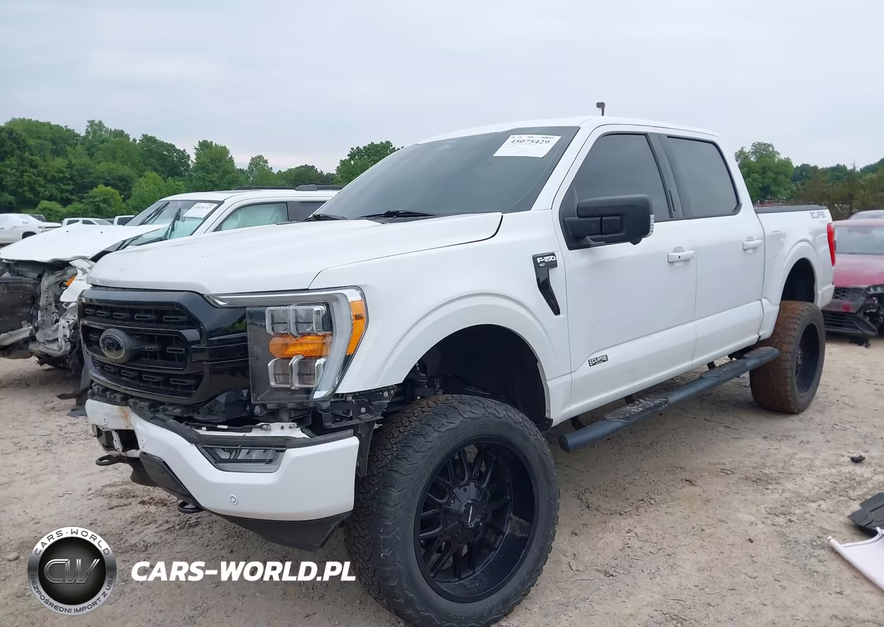 2021 Ford F-150 Xlt VIN:1FTFW1E52MFC82048 - 2
