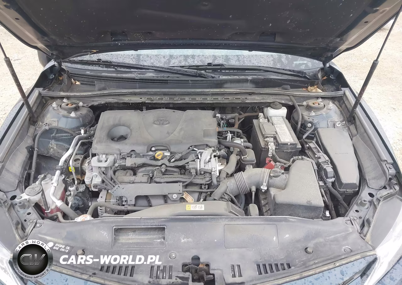 2020 Toyota Camry Le VIN:4T1C11AK5LU964778 - 10