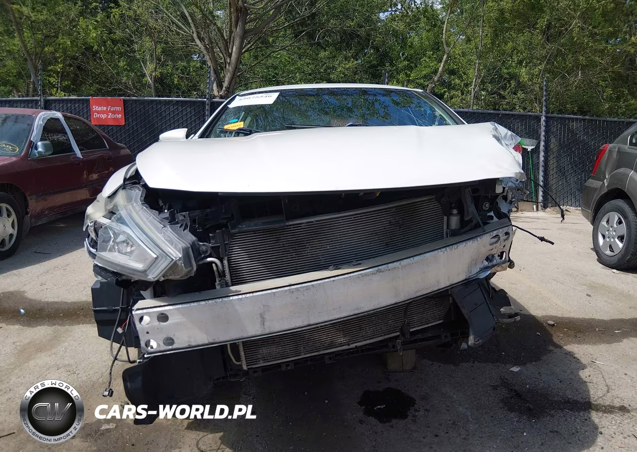 2016 Nissan Altima 2.5-2.5 S-2.5 Sl-2.5 Sr-2.5 Sv VIN:1N4AL3AP0GC152349 - 18