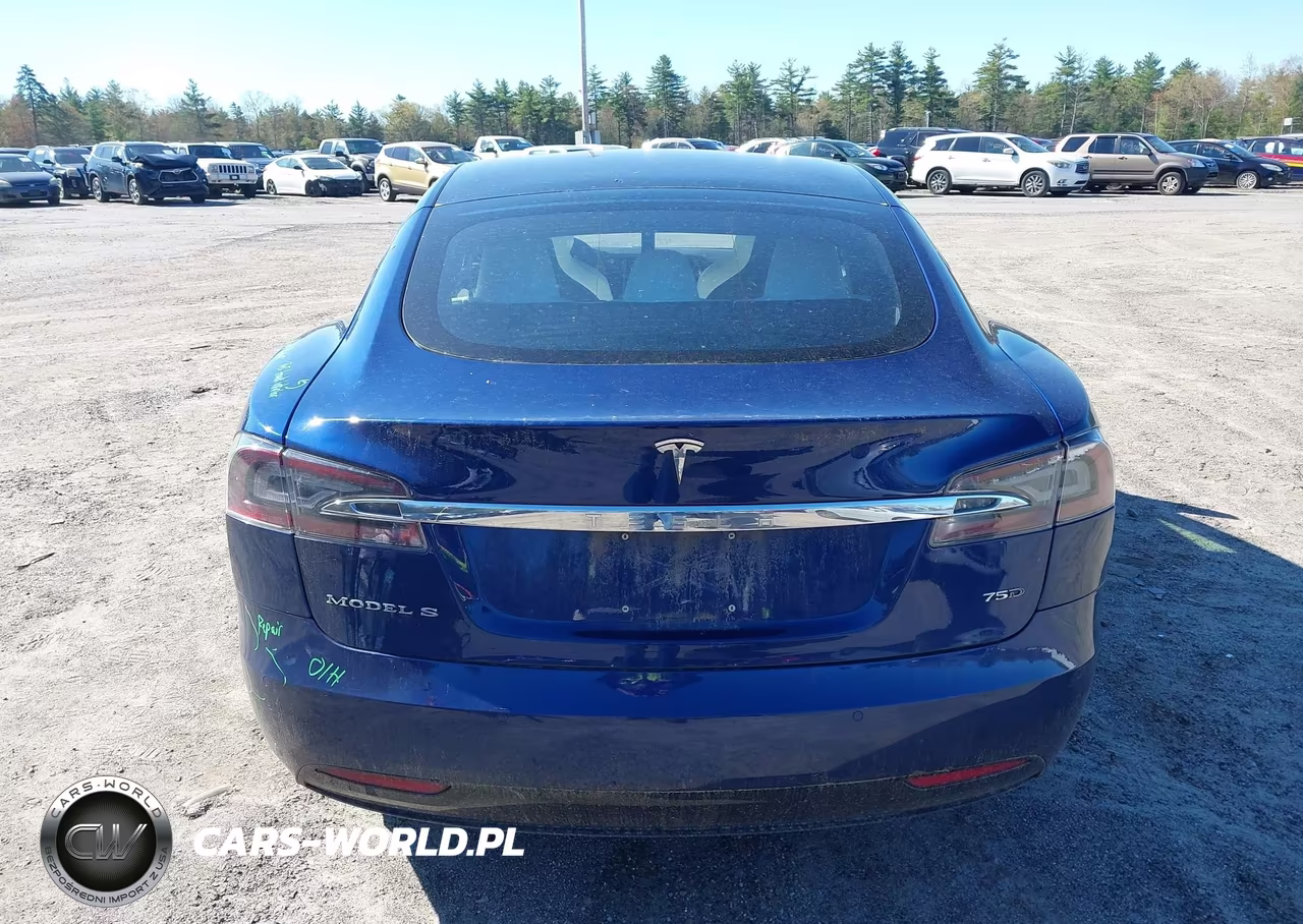 2018 Tesla Model S 100D-75D-P100D VIN:5YJSA1E28JF266133 - 16