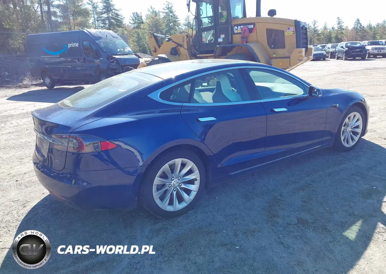 2018 Tesla Model S 100D-75D-P100D VIN:5YJSA1E28JF266133 - 4