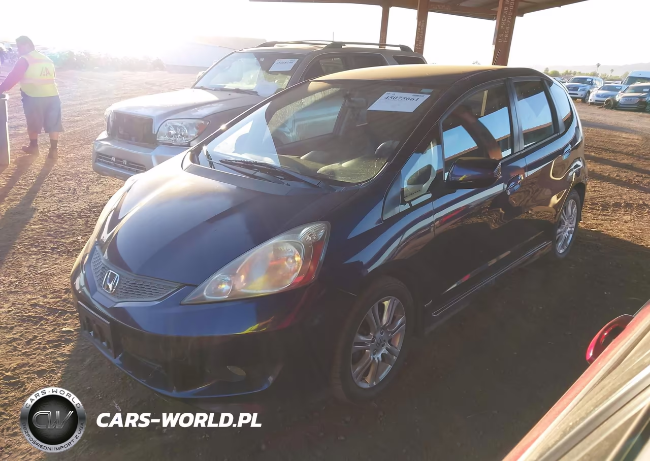 2010 Honda Fit Sport VIN:JHMGE8H45AC029062 - 2