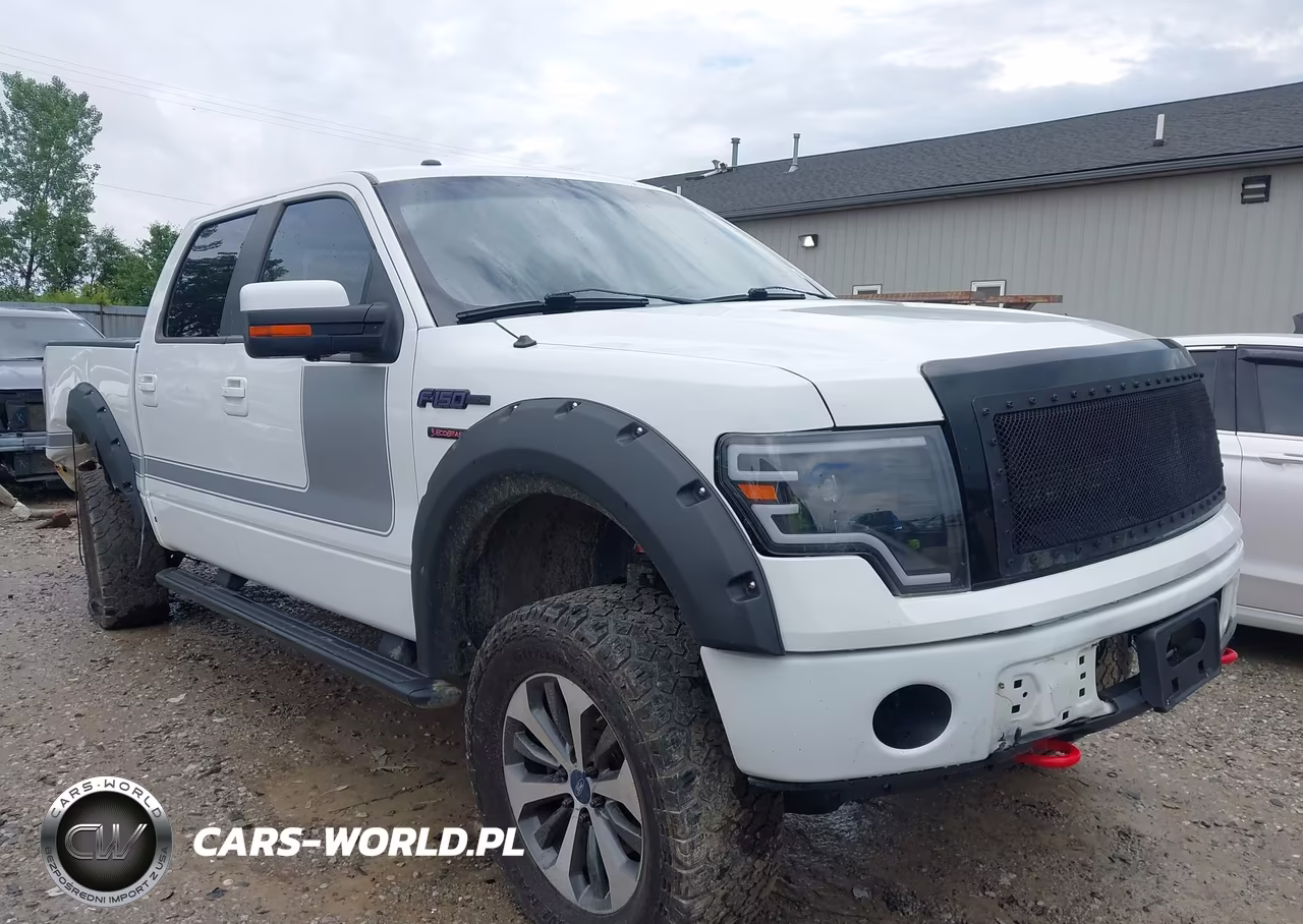 2013 Ford F-150 Fx4 – zdjęcie 1 z 17