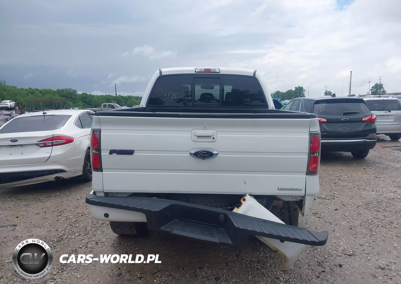 2013 Ford F-150 Fx4 VIN:1FTFW1ET9DFD02195 - 17