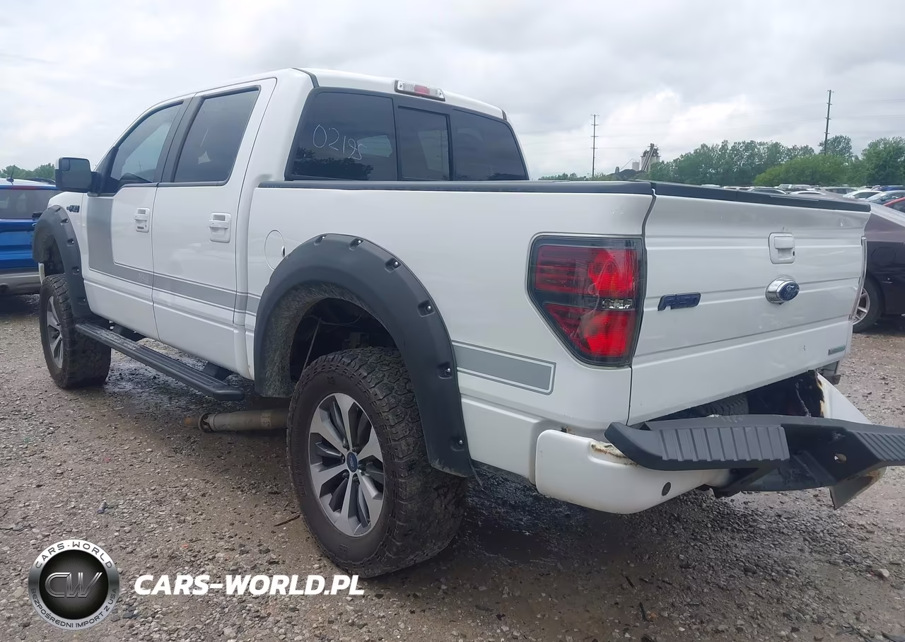 2013 Ford F-150 Fx4 VIN:1FTFW1ET9DFD02195 - 3