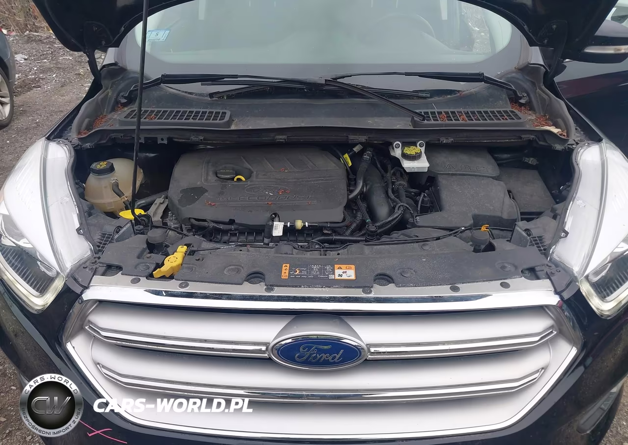 2017 Ford Escape Titanium VIN:1FMCU9JD0HUC69963 - 10