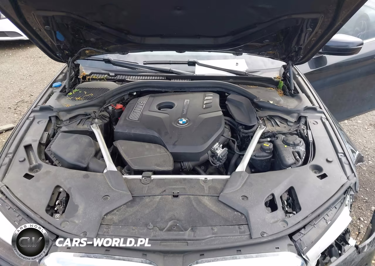 2019 BMW 530I xDrive VIN:WBAJA7C51KWW13999 - 10