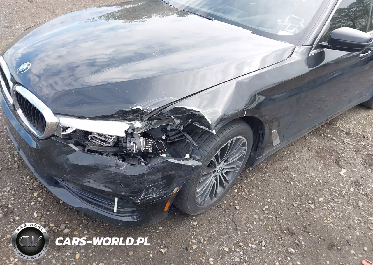 2019 BMW 530I xDrive VIN:WBAJA7C51KWW13999 - 6