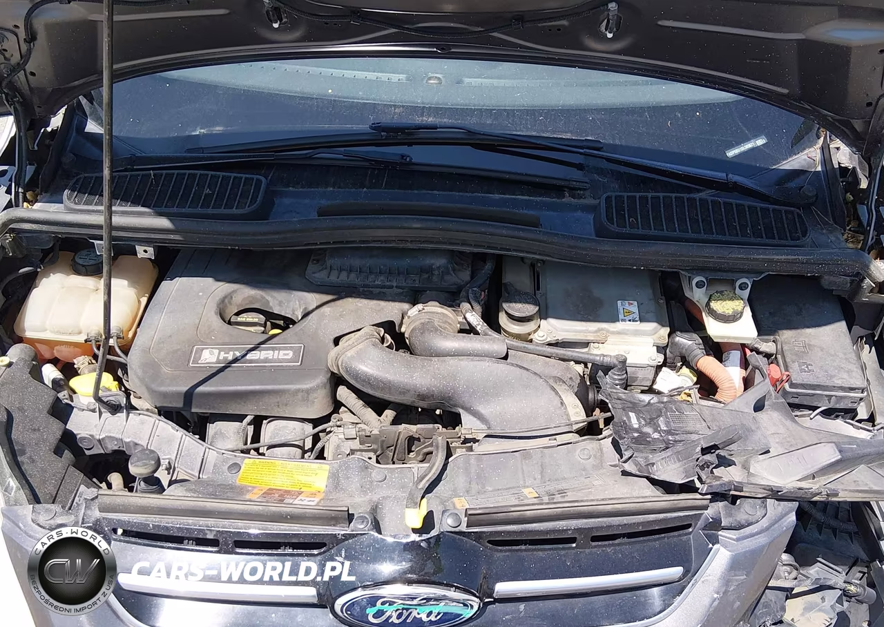 2013 Ford C-Max Hybrid Sel VIN:1FADP5BU1DL503671 - 10