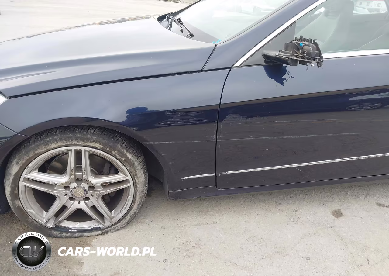 2011 Mercedes-Benz E 350 VIN:WDDKK5GF8BF115784 - 6