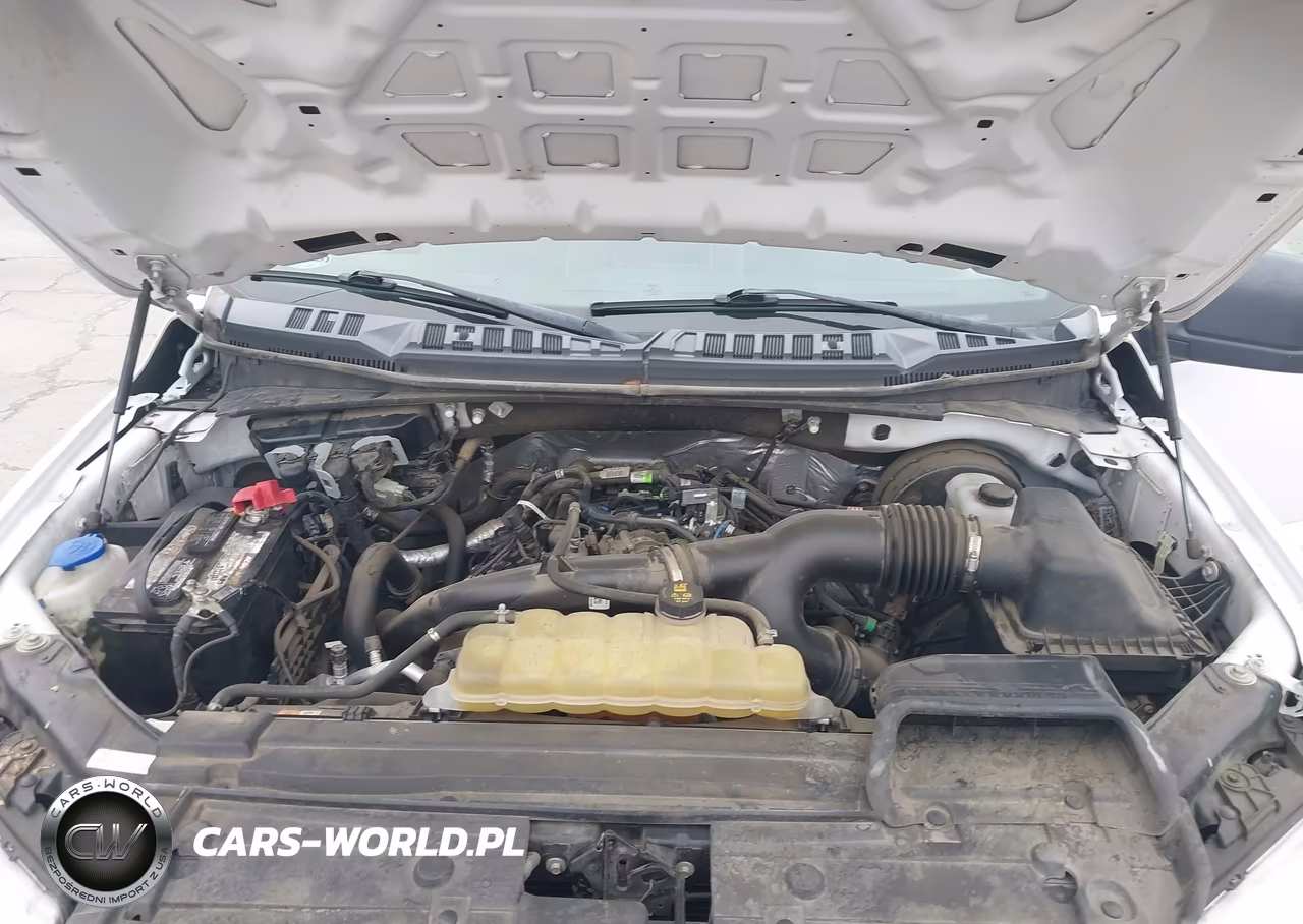 2020 Ford F-150 Xl VIN:1FTEW1CP6LKD19429 - 10