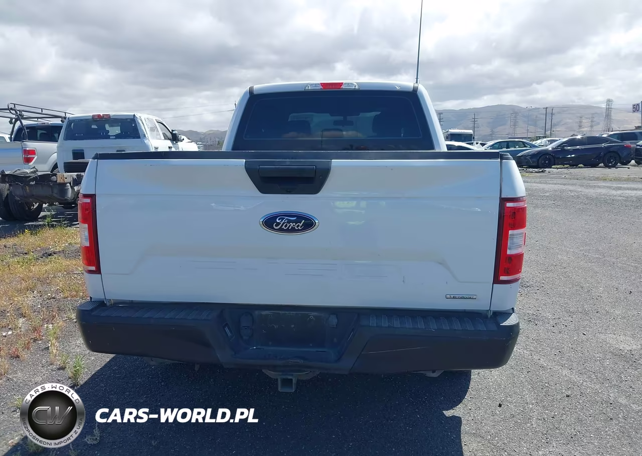2020 Ford F-150 Xl VIN:1FTEW1CP6LKD19429 - 16