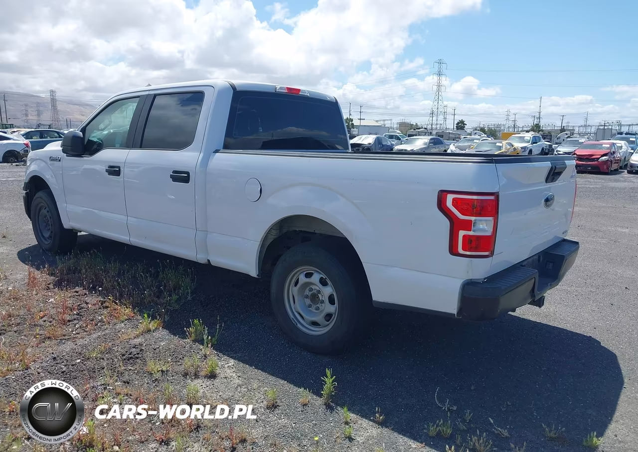 2020 Ford F-150 Xl VIN:1FTEW1CP6LKD19429 - 3