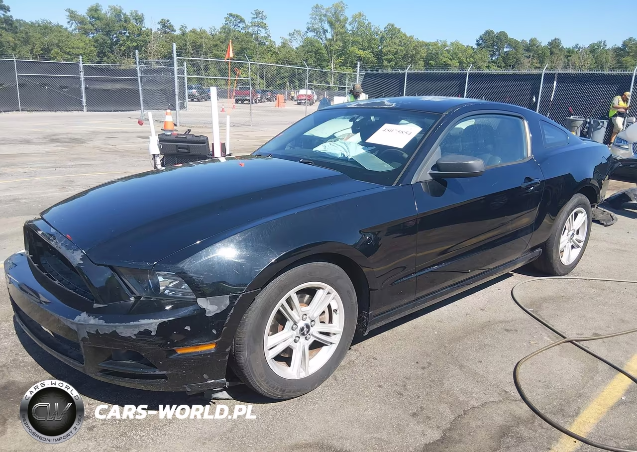 2014 Ford Mustang V6 VIN:1ZVBP8AM4E5266259 - 2