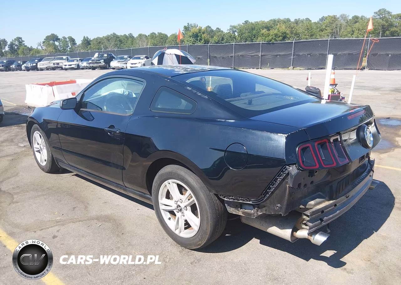 2014 Ford Mustang V6 VIN:1ZVBP8AM4E5266259 - 3