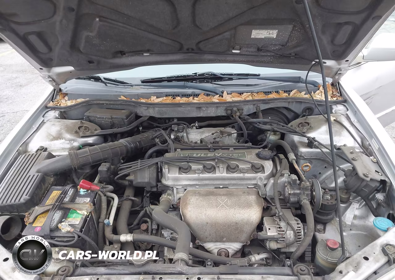 2001 Honda Accord 2.3 Lx VIN:JHMCG66561C011677 - 10