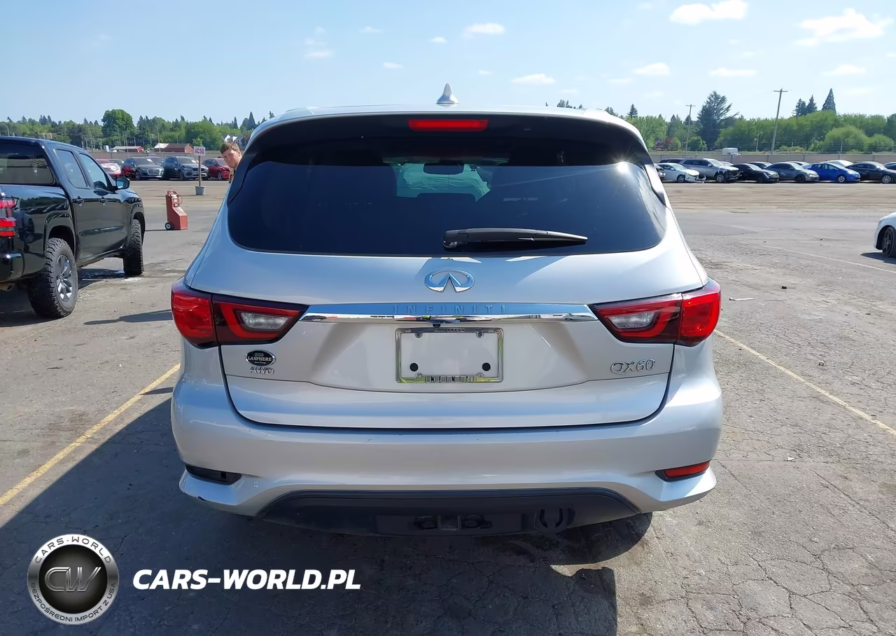 2019 Infiniti Qx60 Pure VIN:5N1DL0MM7KC566403 - 16
