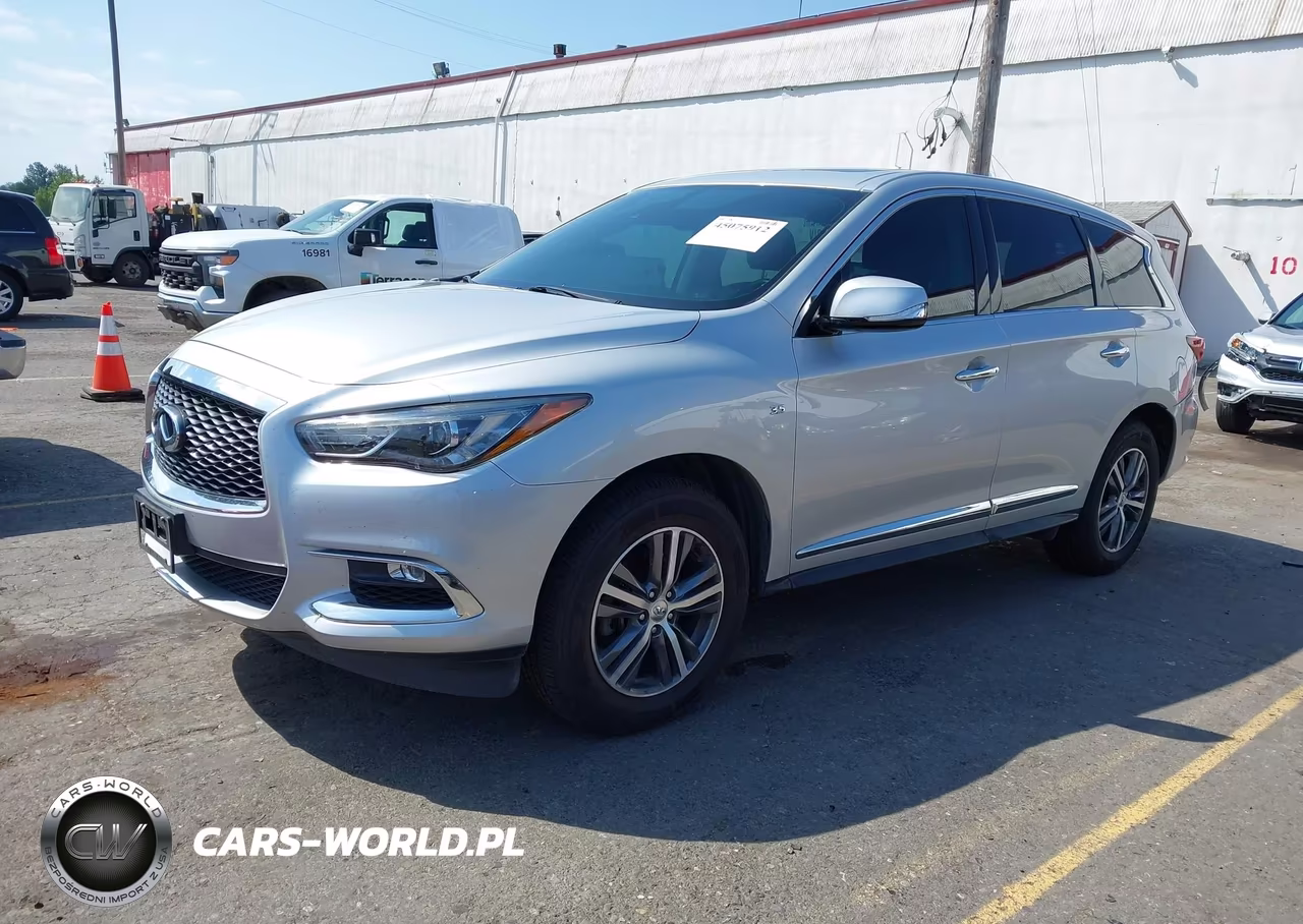 2019 Infiniti Qx60 Pure VIN:5N1DL0MM7KC566403 - 2