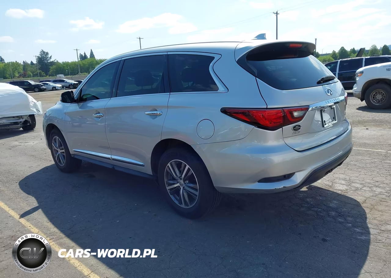 2019 Infiniti Qx60 Pure VIN:5N1DL0MM7KC566403 - 3