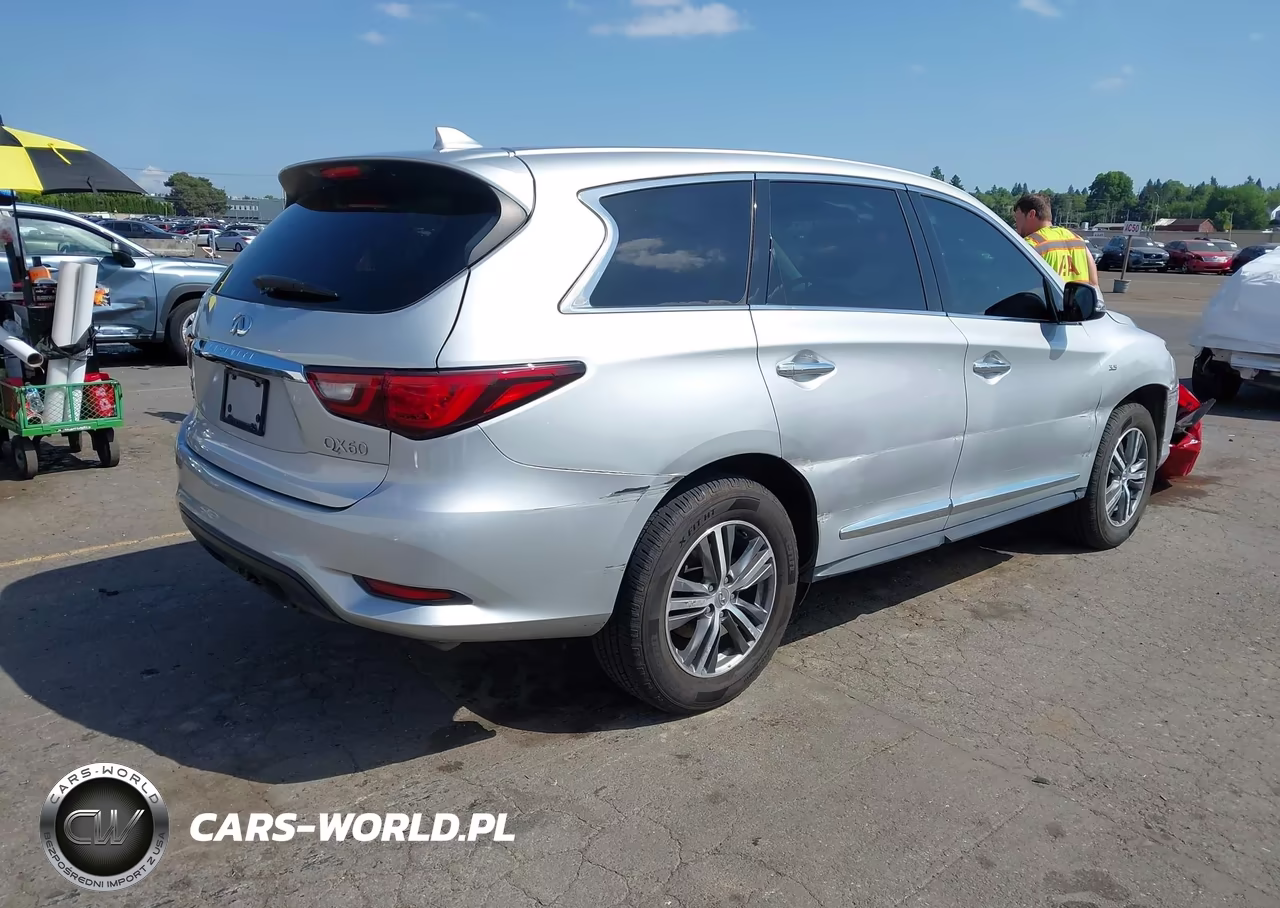 2019 Infiniti Qx60 Pure VIN:5N1DL0MM7KC566403 - 4