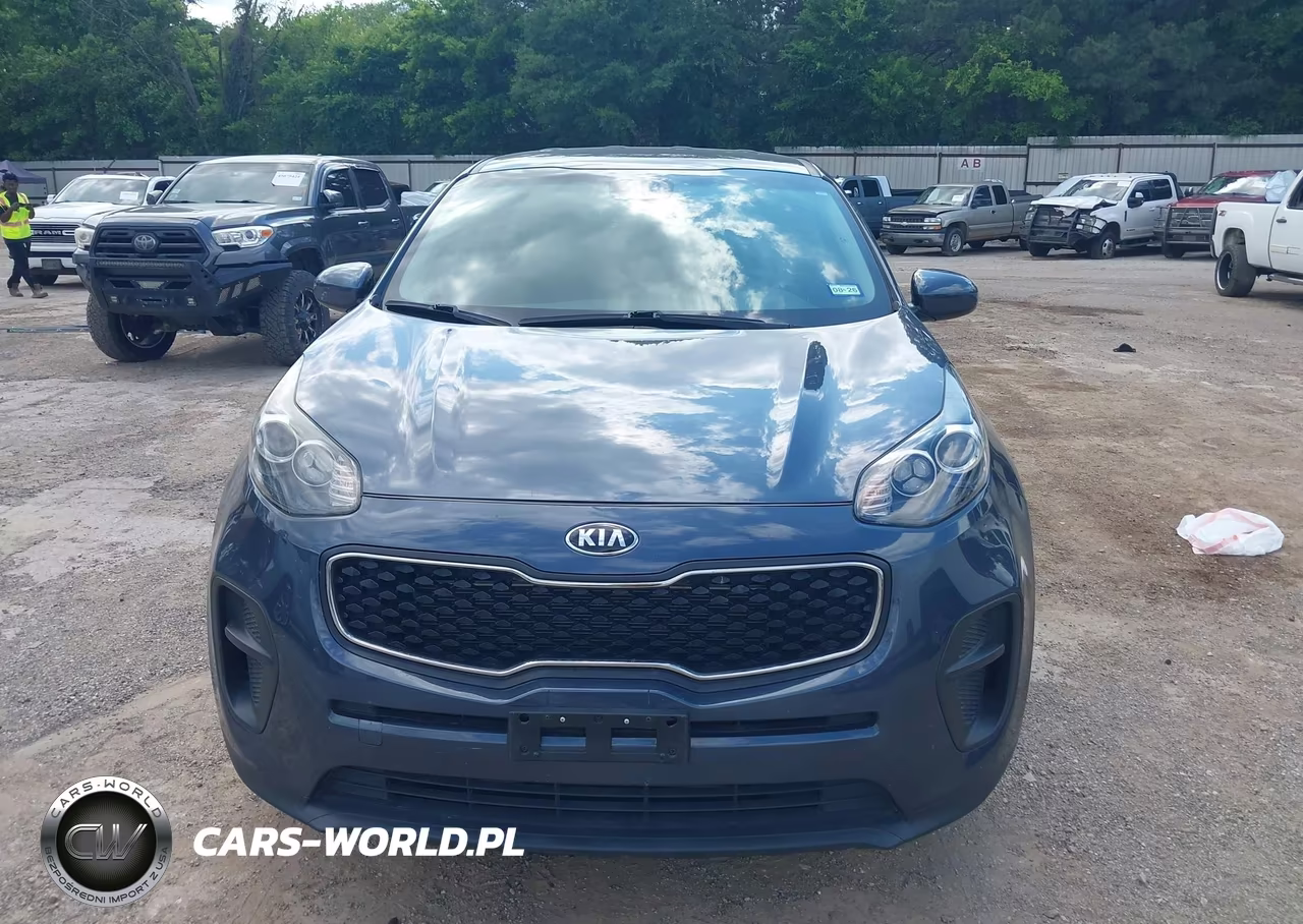 2019 Kia Sportage Lx VIN:KNDPM3AC6K7620150 - 12