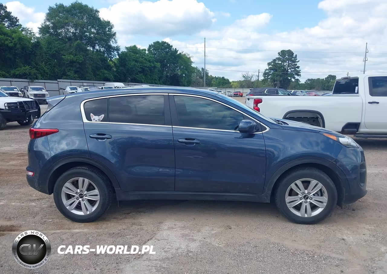 2019 Kia Sportage Lx VIN:KNDPM3AC6K7620150 - 13
