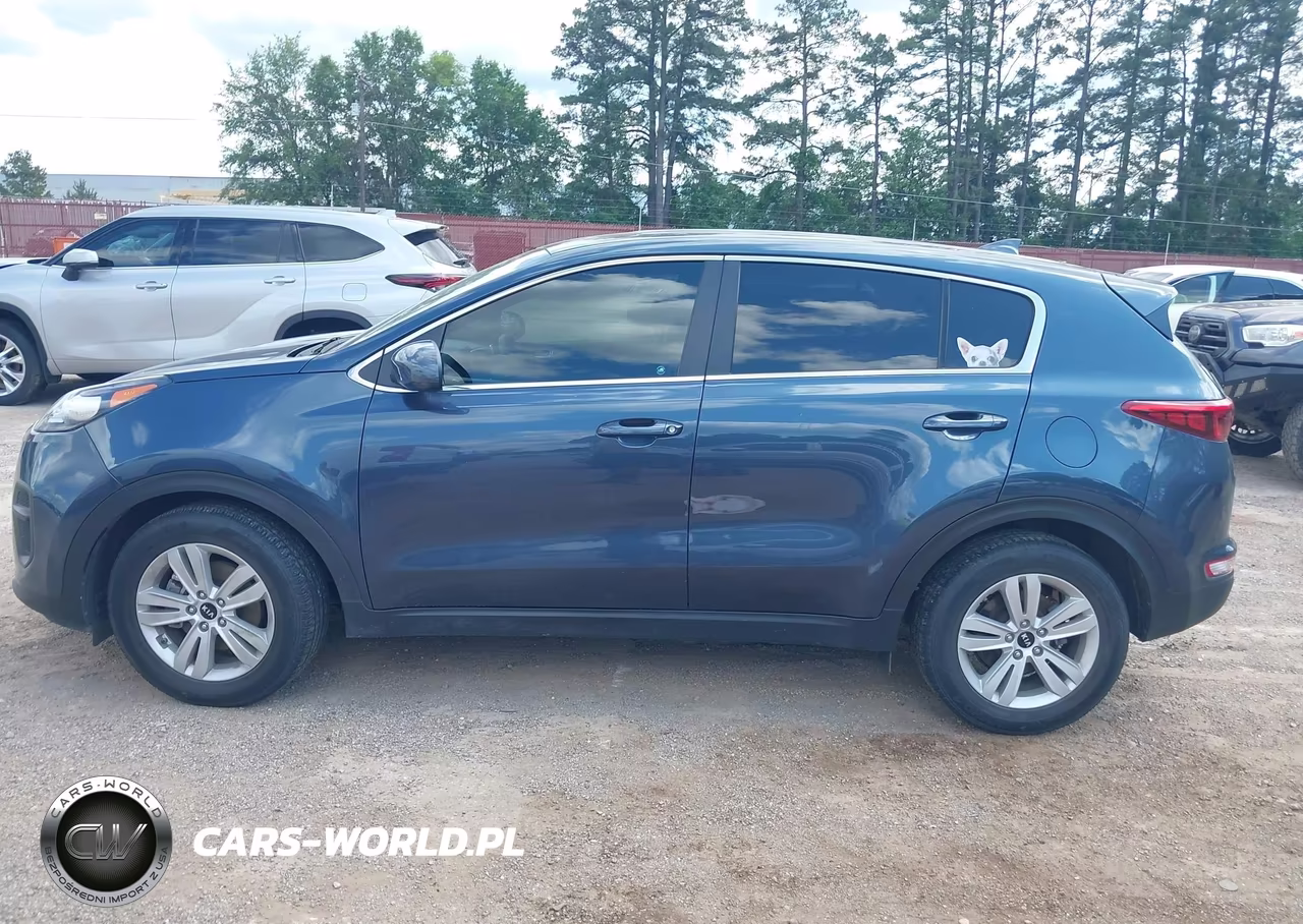 2019 Kia Sportage Lx VIN:KNDPM3AC6K7620150 - 14