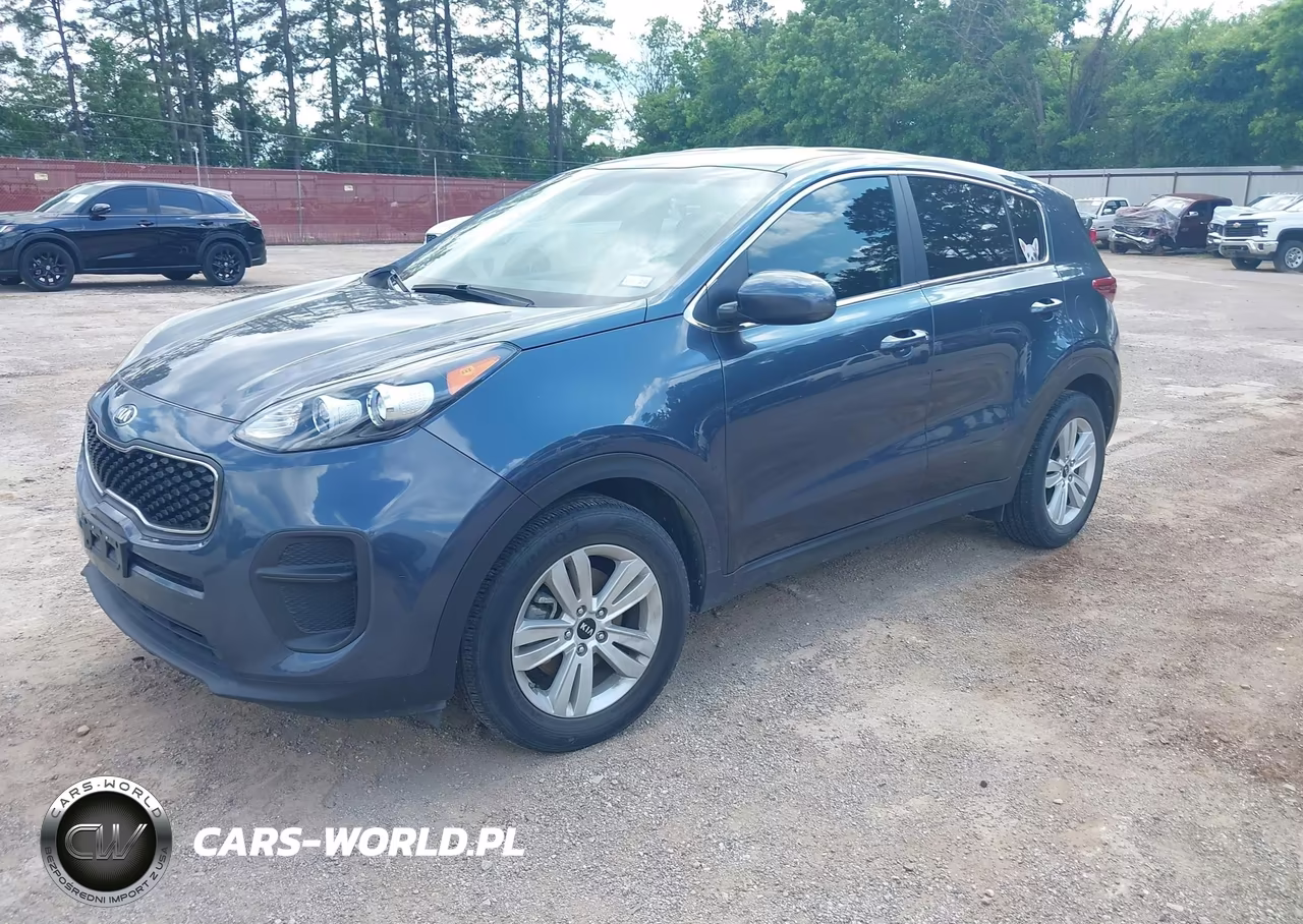 2019 Kia Sportage Lx VIN:KNDPM3AC6K7620150 - 2