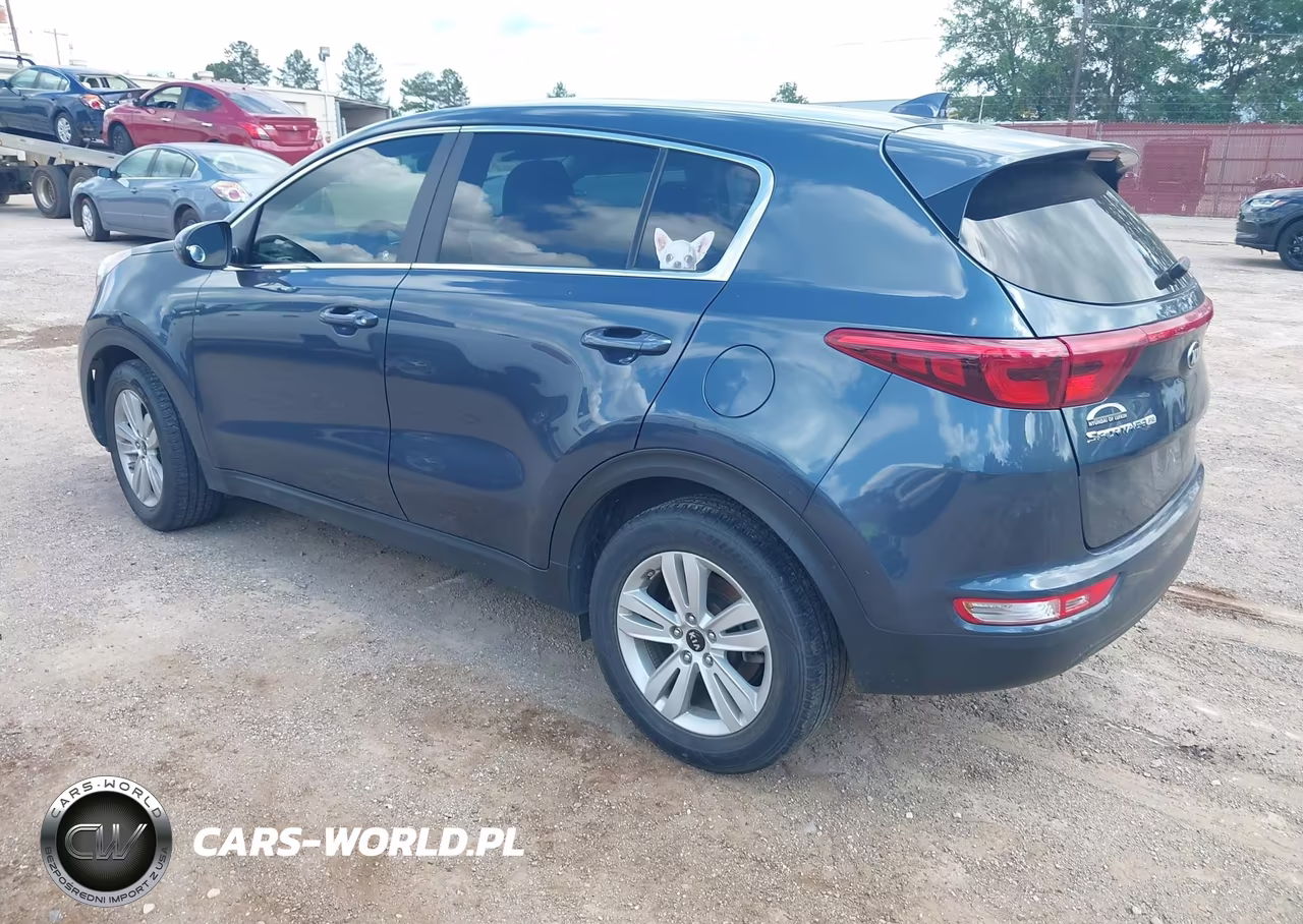 2019 Kia Sportage Lx VIN:KNDPM3AC6K7620150 - 3