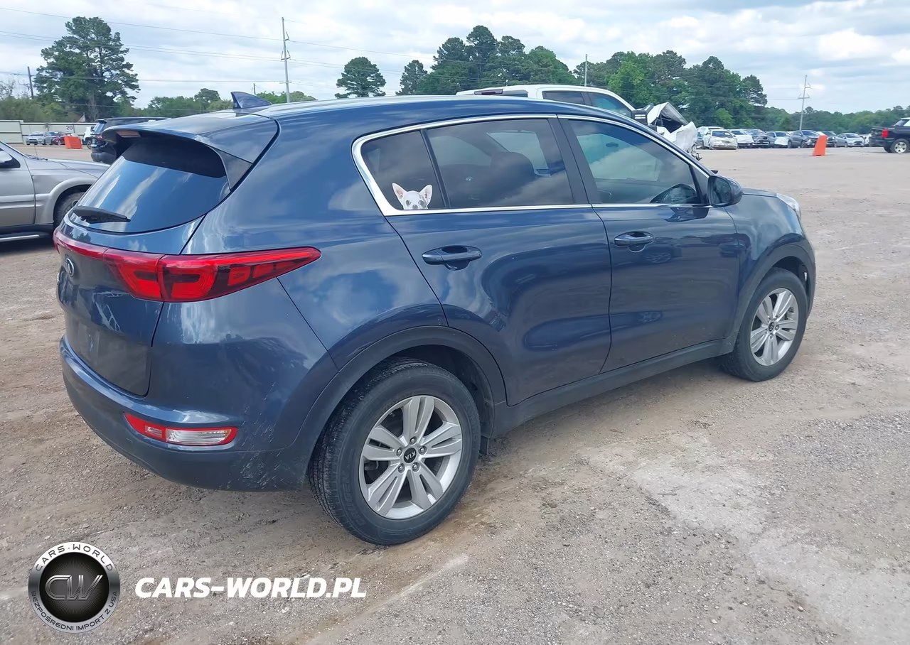 2019 Kia Sportage Lx VIN:KNDPM3AC6K7620150 - 4