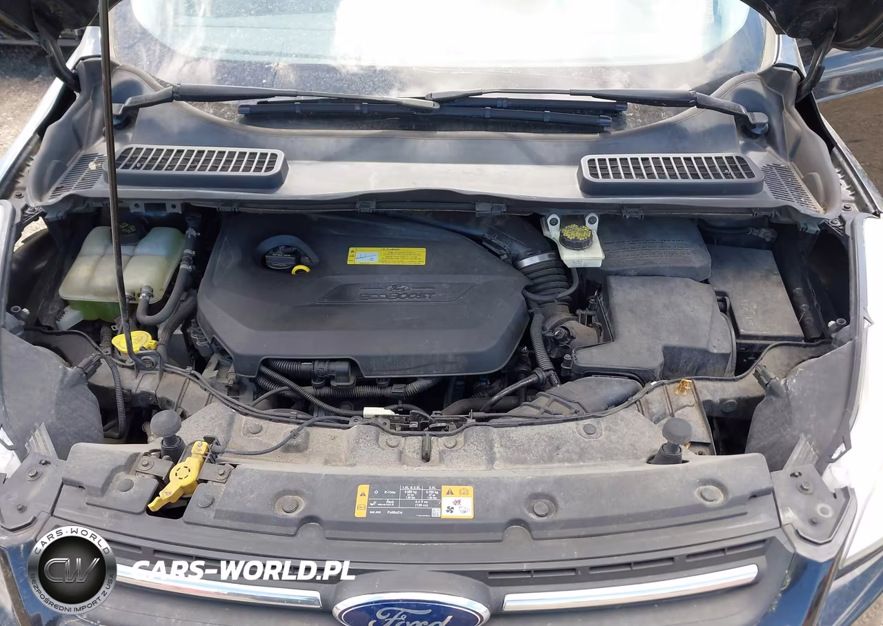 2014 Ford Escape Se VIN:1FMCU0GX7EUA11545 - 10