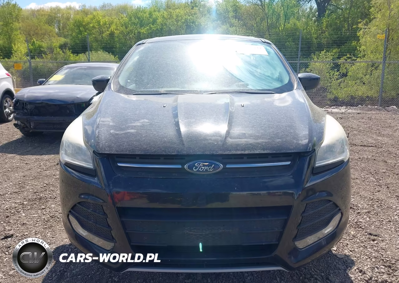 2014 Ford Escape Se VIN:1FMCU0GX7EUA11545 - 12