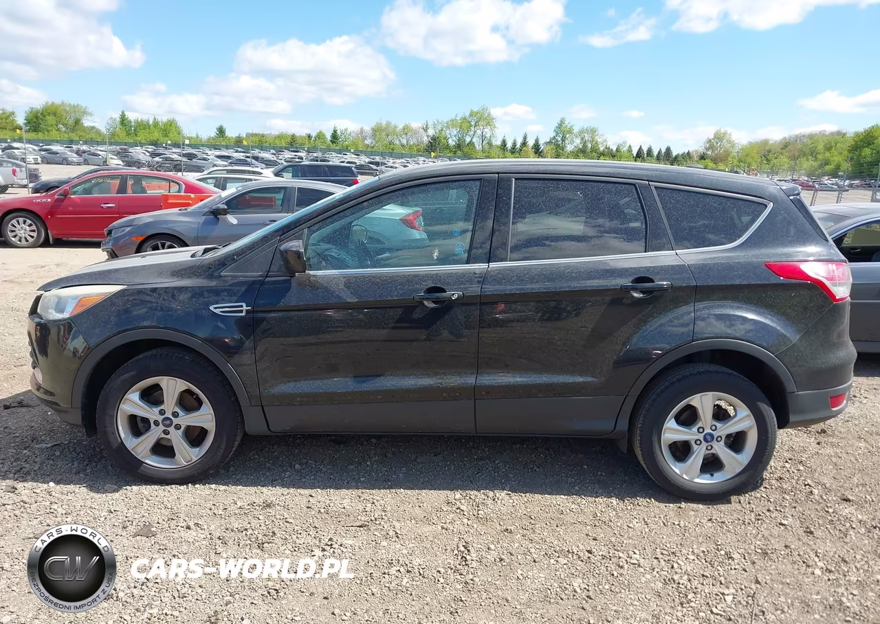 2014 Ford Escape Se VIN:1FMCU0GX7EUA11545 - 14