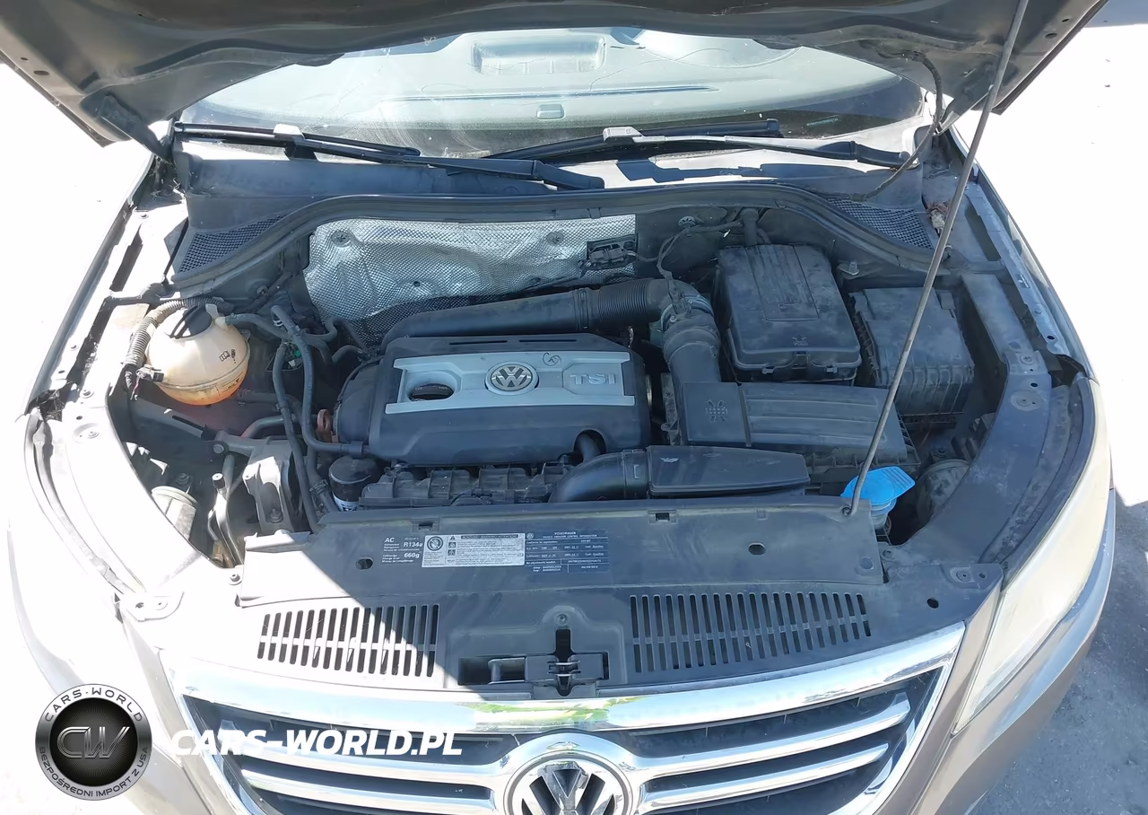 2011 Volkswagen Tiguan Se VIN:WVGAV7AX7BW502199 - 10
