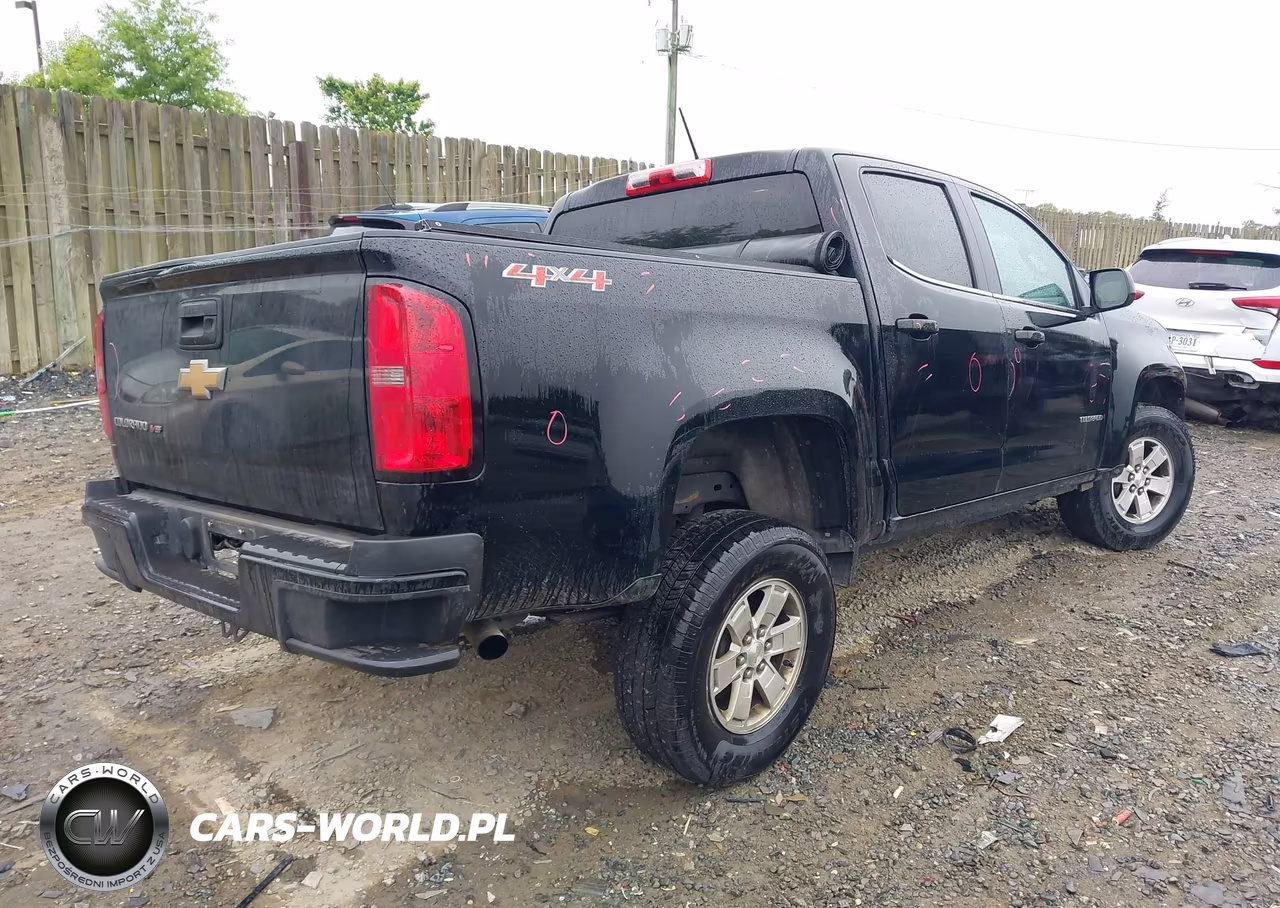 2020 Chevrolet Colorado 4Wd Short Box Wt VIN:1GCGTBEN7L1248234 - 4