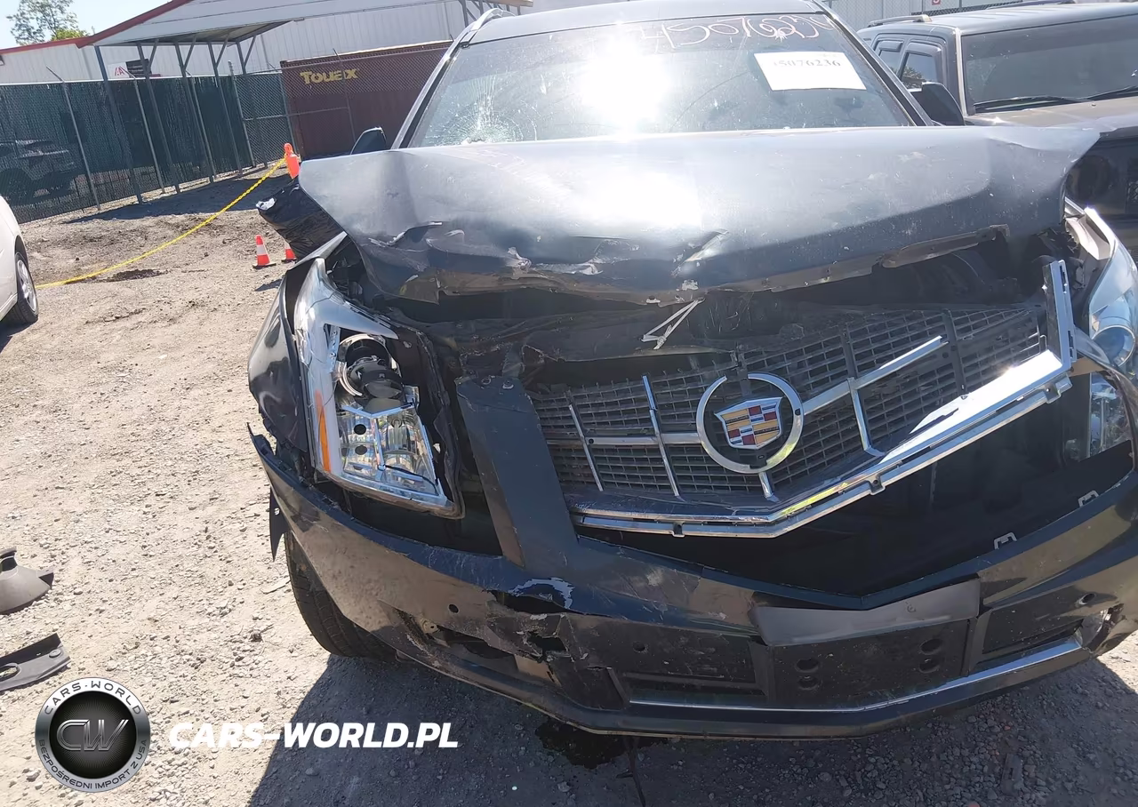 2016 Cadillac Srx Luxury Collection VIN:3GYFNBE36GS509159 - 6