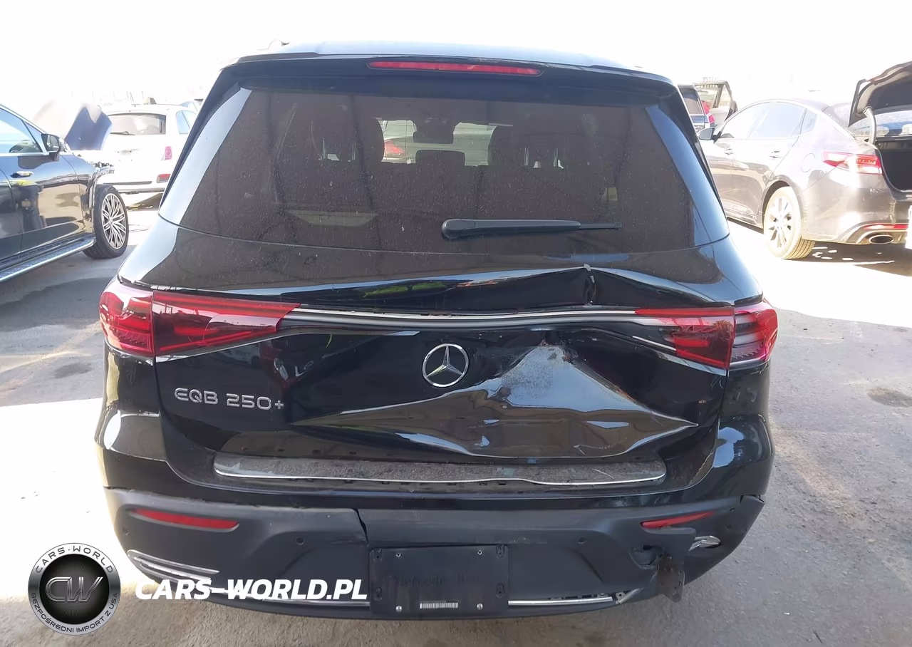 2024 Mercedes-Benz Eqb 250 Suv VIN:W1N9M0CB3RN095994 - 16