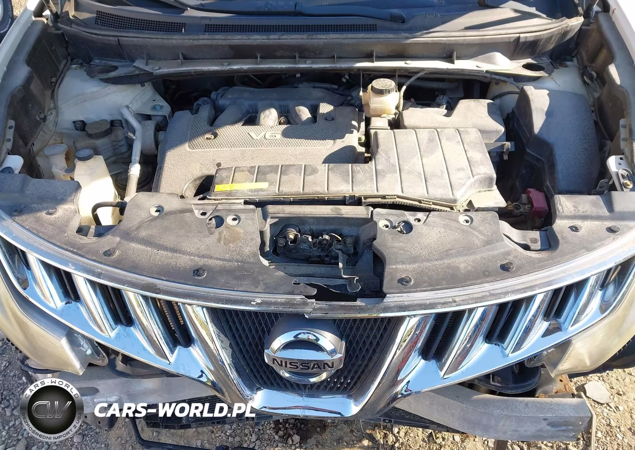 2009 Nissan Murano Sl VIN:JN8AZ18W59W140391 - 10