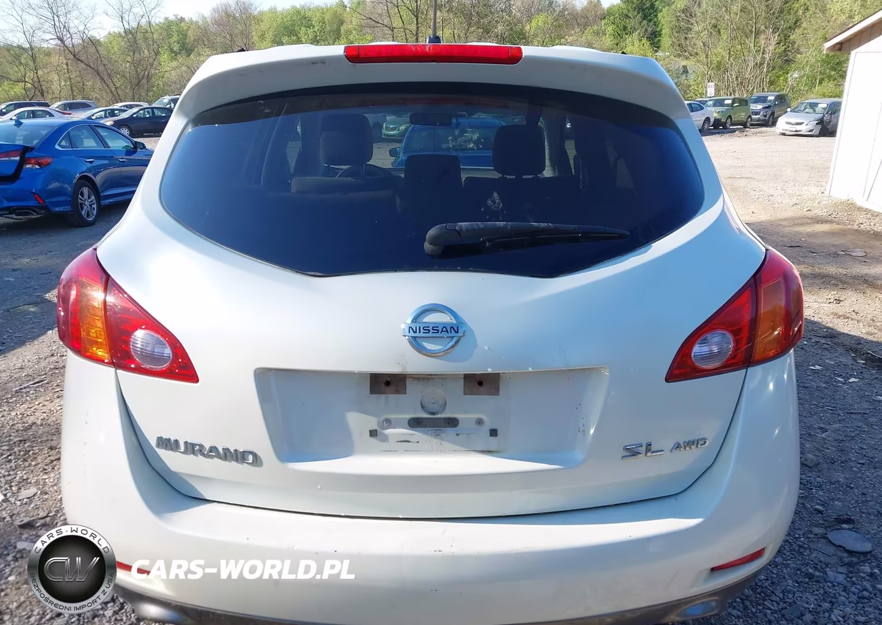 2009 Nissan Murano Sl VIN:JN8AZ18W59W140391 - 17