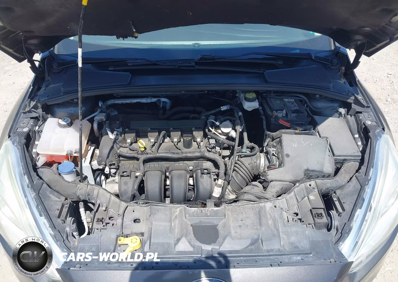 2018 Ford Focus Se VIN:1FADP3F26JL272890 - 10