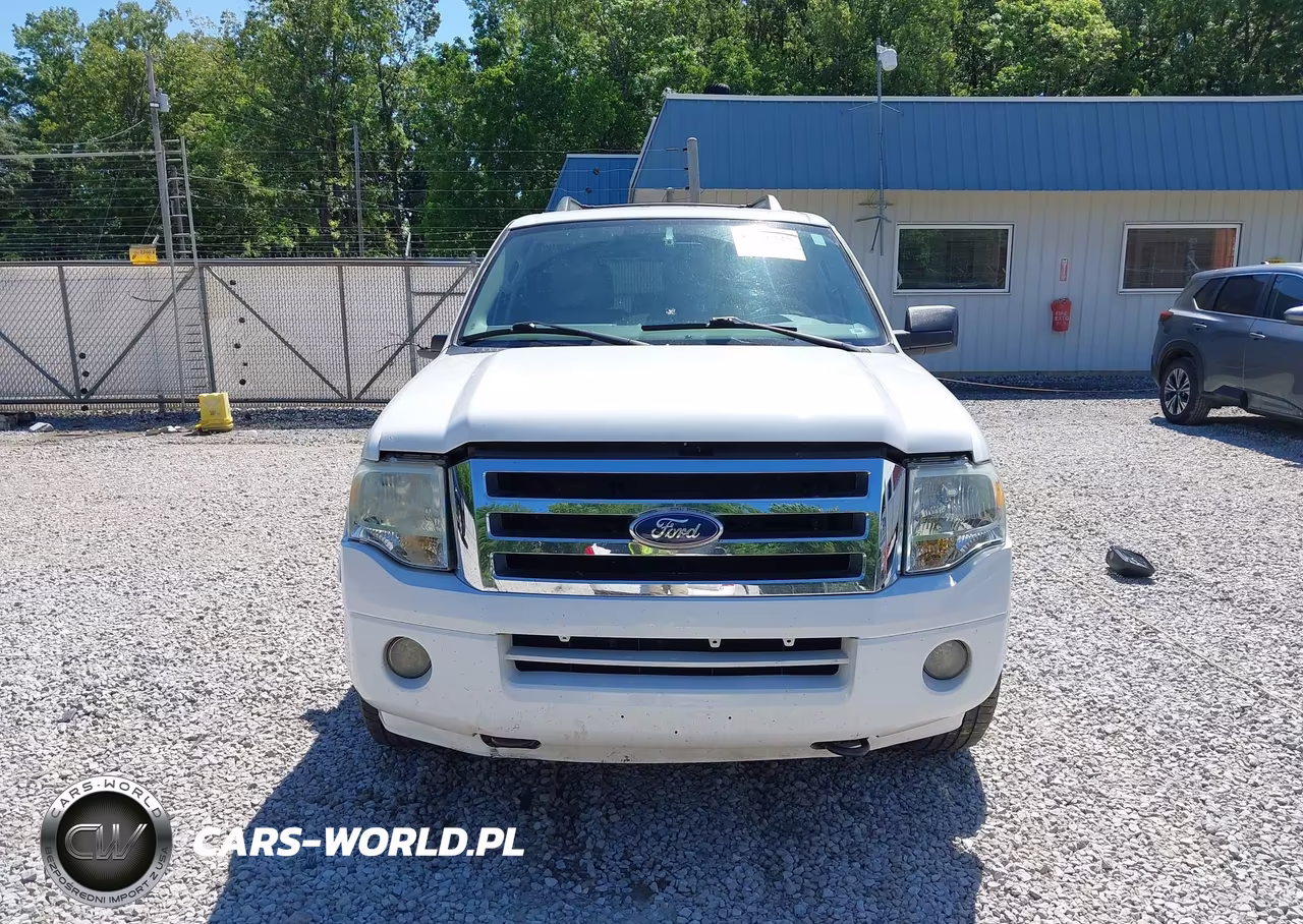 2010 Ford Expedition Xlt VIN:1FMJU1G58AEA87999 - 12