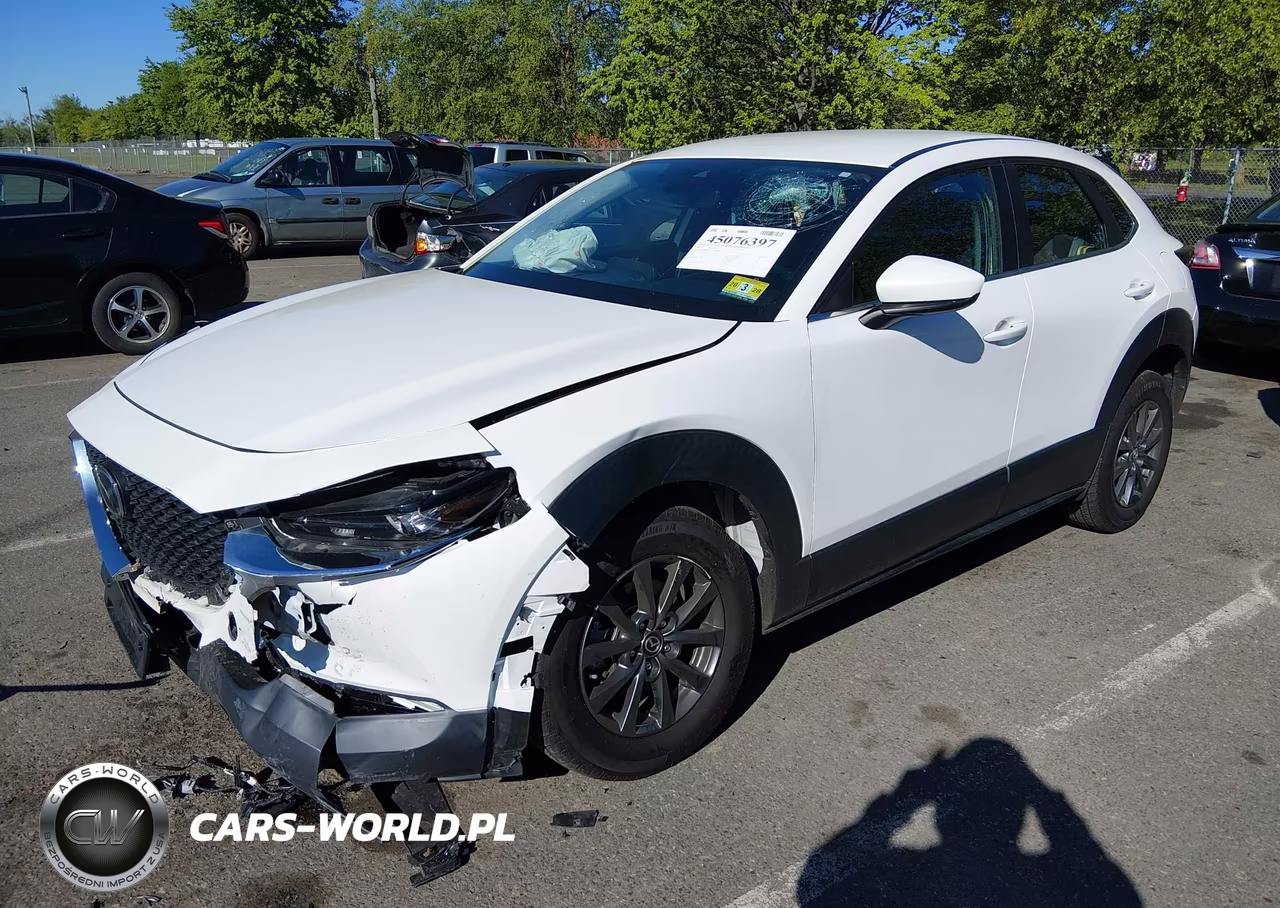 2020 Mazda Cx-30 VIN:3MVDMBBLXLM116704 - 2